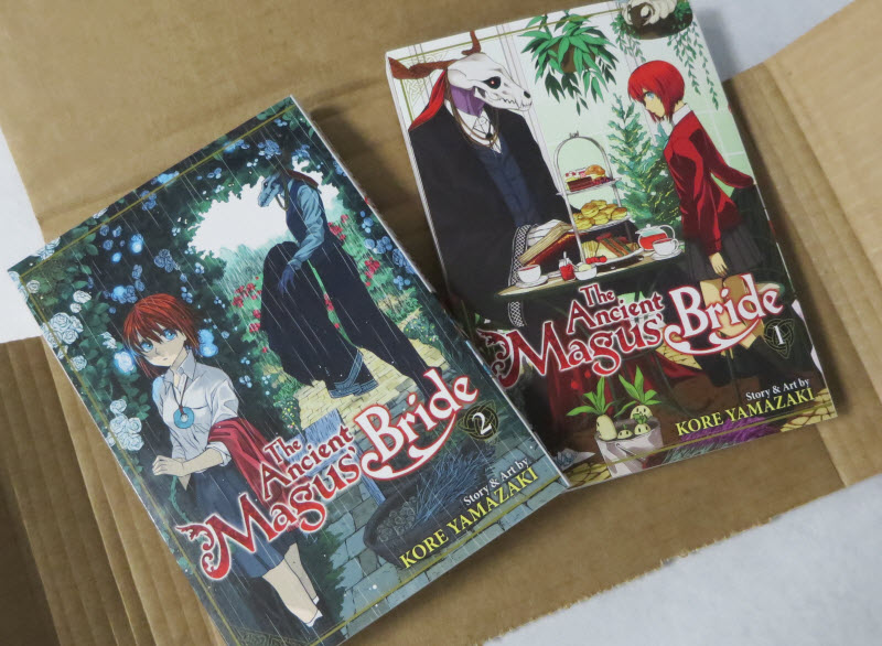 The Ancient Magus's Bride
