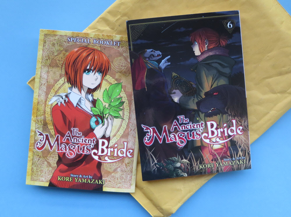 the-ancient-maguss-bride-06