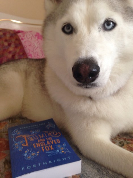 Photo Challenge from JN i