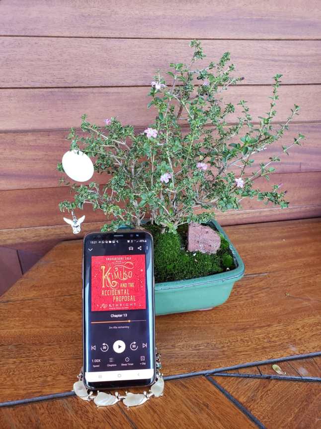 Photo Challenge, Alice_