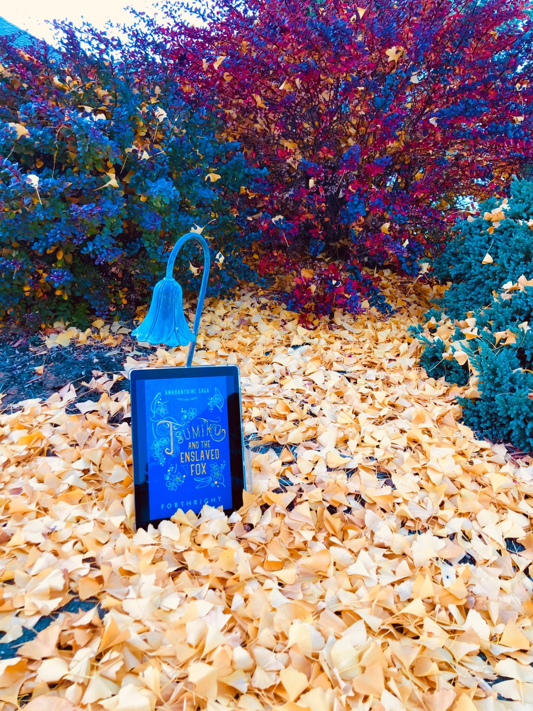 Tsumiko among the Gingko Leaves, Jeanine